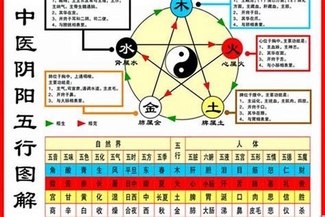 木鼠之命|金鼠，木鼠，水鼠，火鼠，土鼠的五行运势